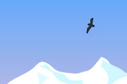 19_piece_209.jpg