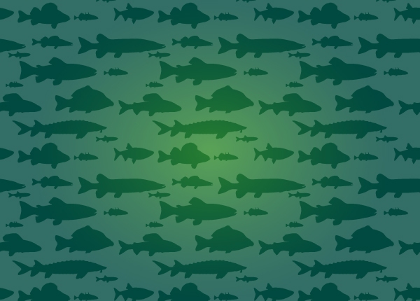 Fische